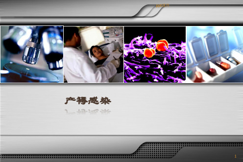 产褥感染  ppt课件