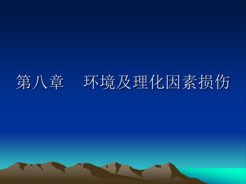 理化损伤