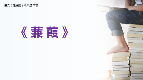 《蒹葭》PPT精品课件