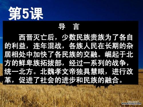 第5课  北魏孝文帝改革与民族融合