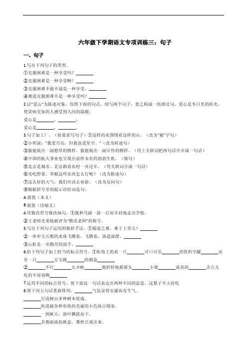北师大版六年级下学期语文专项训练三：句子