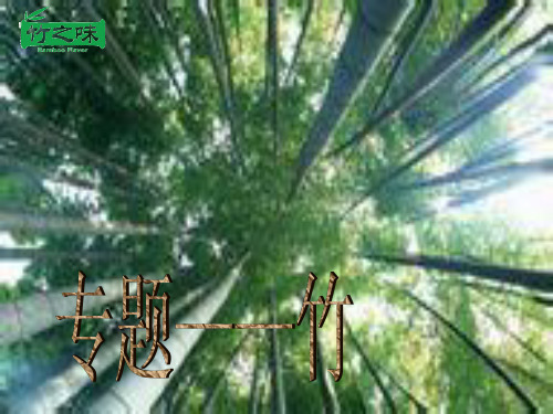 竹PPT
