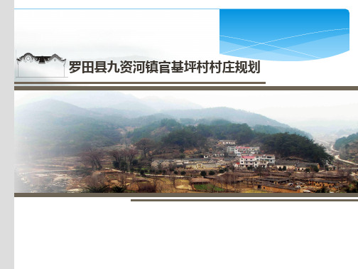 湖北省某村庄概念规划