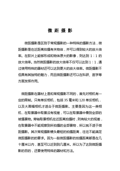 微距摄影
