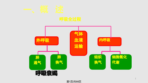 第十五章肺功能不全PPT课件
