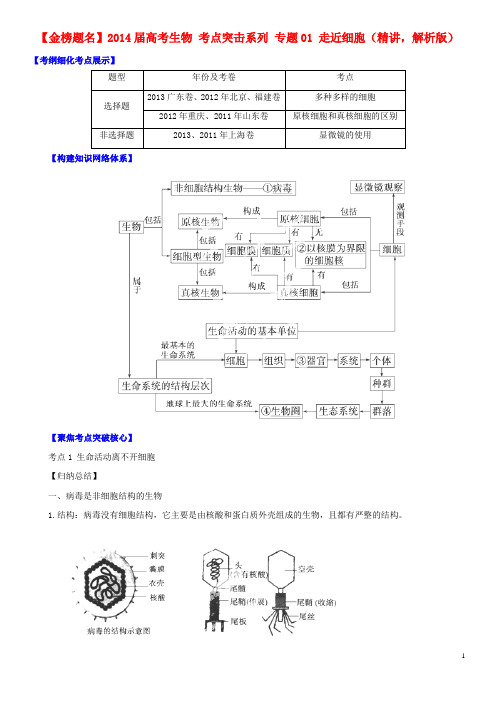 高考生物 考点突击系列 专题01 走近细胞(精讲,解析版)
