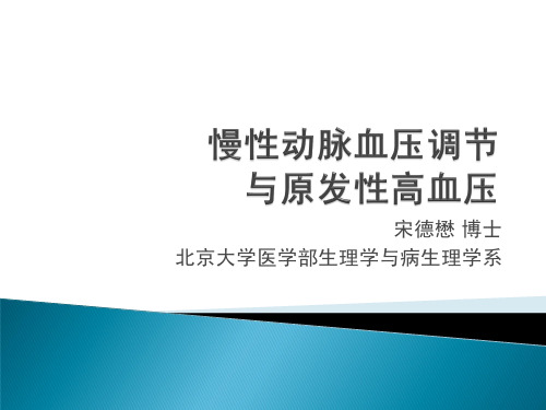 慢性动脉血压调节与原发性高血压