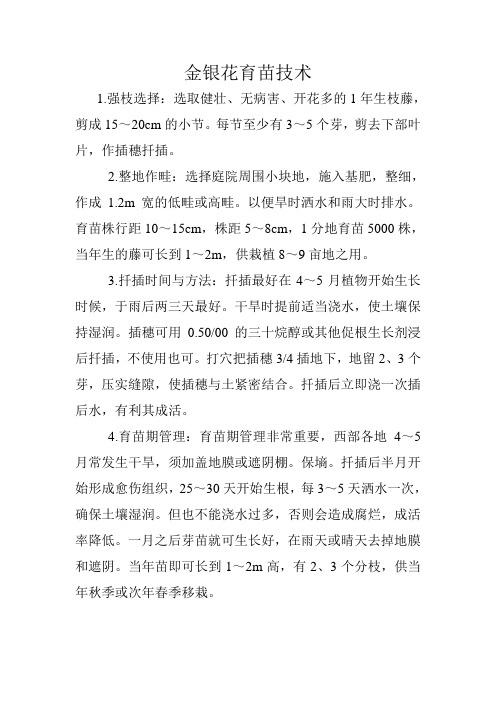 金银花育苗技术