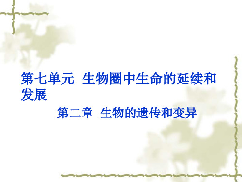 2015年中考生物复习课件 第七单元-第二章 生物的遗传和变异