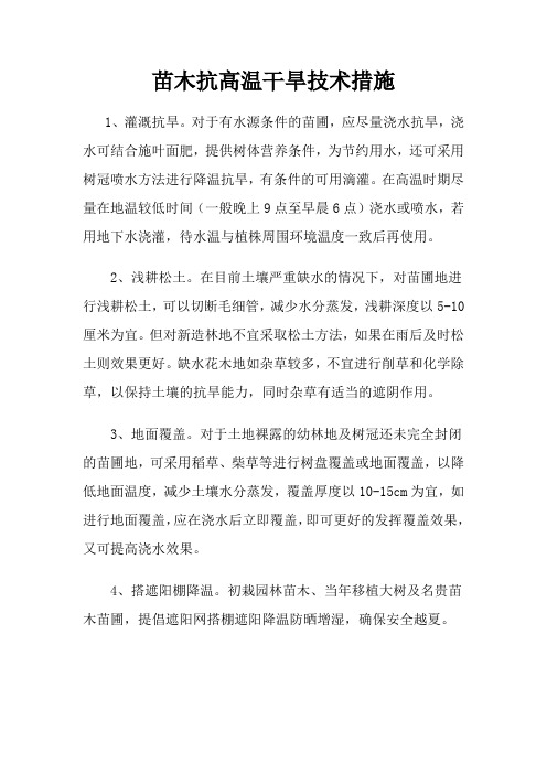 苗木抗高温干旱技术措施