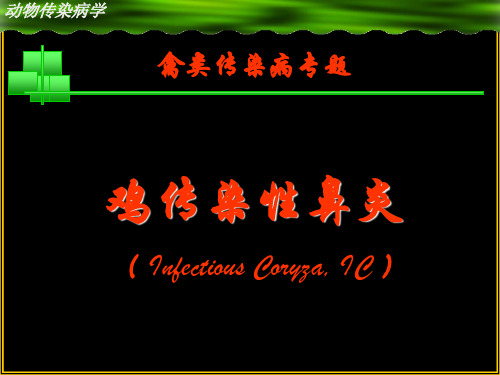 动物传染病-鸡病课件  鸡传染性鼻炎