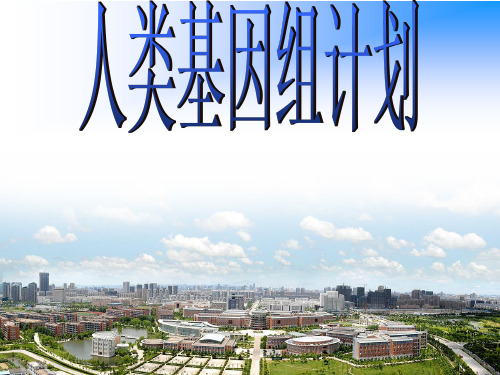 人类基因组计划 .ppt