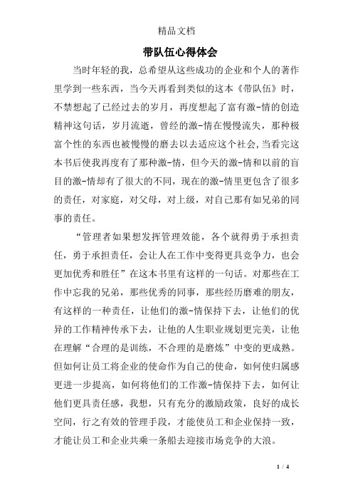 带队伍心得体会
