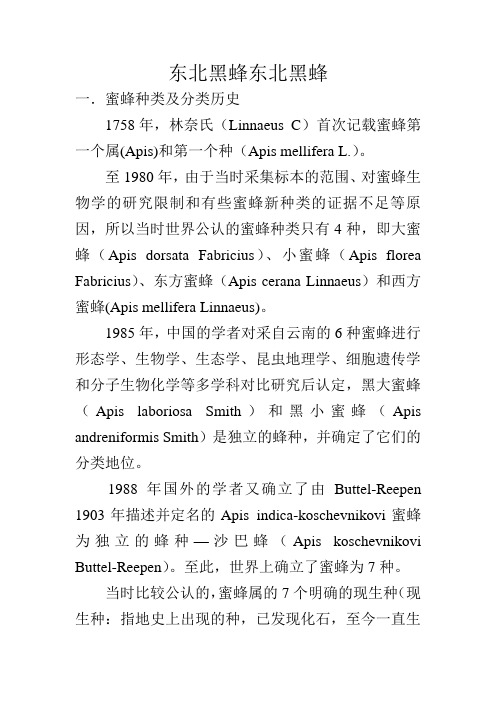 东北黑蜂东北黑蜂