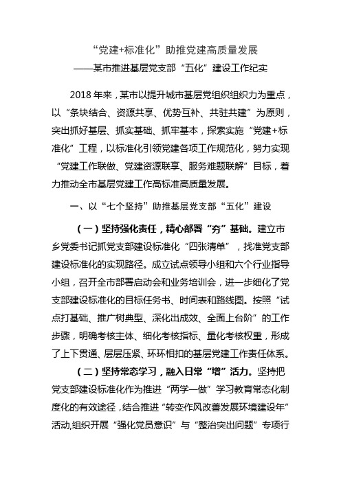 某市推进基层党支部“五化”建设工作纪实