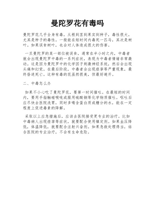 曼陀罗花有毒吗