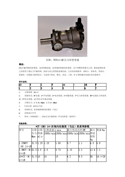 CY14-1B型轴向柱塞泵参数型号说明