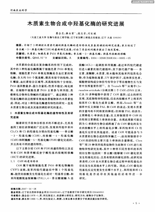 木质素生物合成中羟基化酶的研究进展