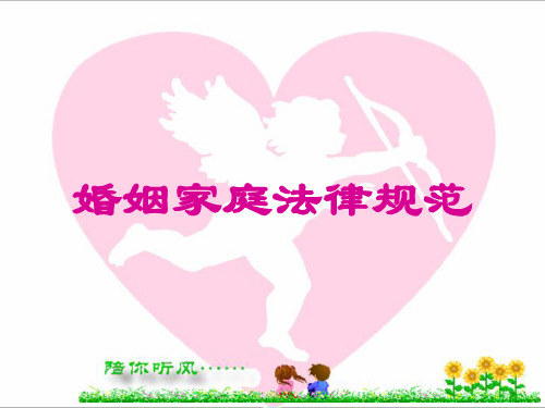 2020年婚姻家庭法律规范参照模板