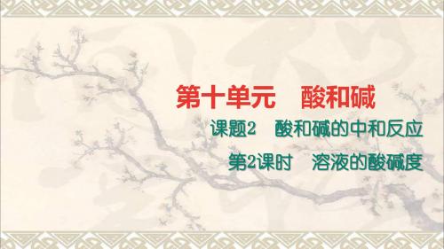九年级化学下册第十单元酸和碱10.2.2溶液的酸碱度课件新新人教