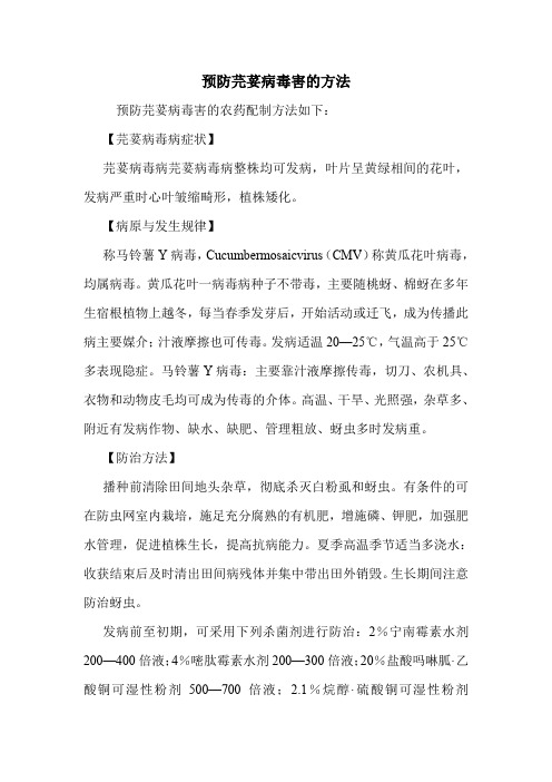 预防芫荽病毒害的方法.doc
