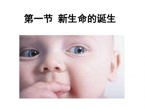浙教版七年级下册科学1.1新生命的诞生(54张ppt)