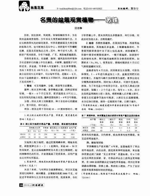 名贵的盆栽观赏植物——苏铁