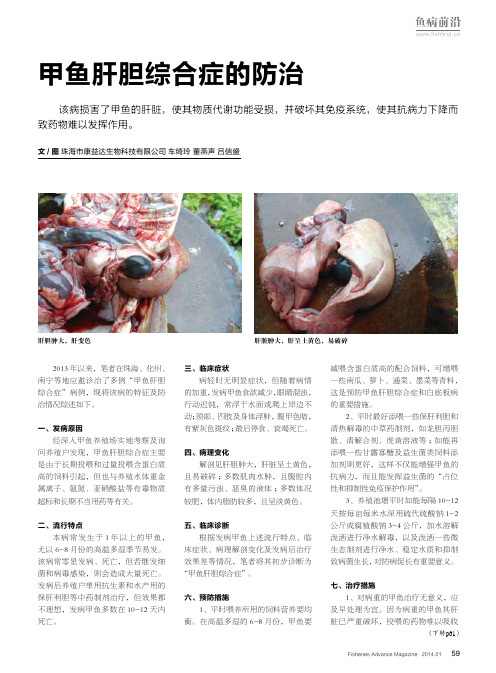 甲鱼肝胆综合症的防治