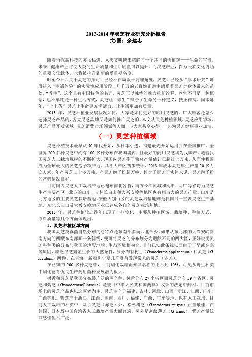 2013-2014灵芝行业研究分析报告
