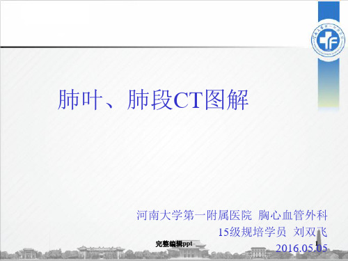 肺叶、肺段ct图解