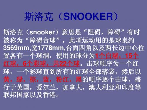斯洛克(SNOOKER)1