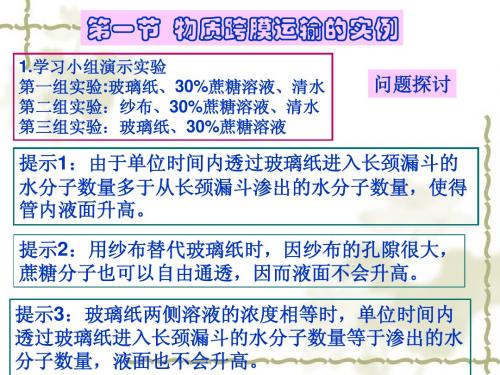人教版教学课件第一节 物质跨膜运输