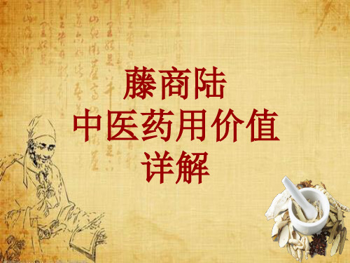中药学_藤商陆_药材详解课件模板