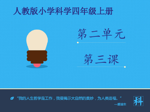 3 各种各样的蘑菇