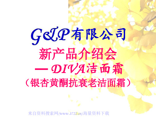 新产品介绍会(PPT )