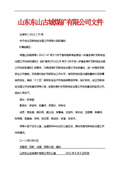 煤矿管理-关于成立瓦斯综合治理工作领导小组的通知