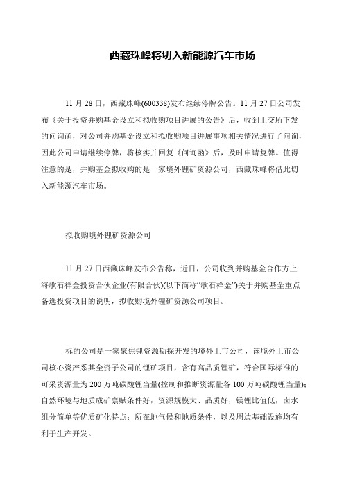 西藏珠峰将切入新能源汽车市场