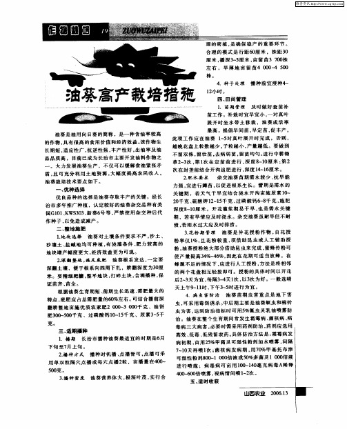 油葵高产栽培措施