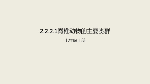 济南版生物七年级上册2.2.2.1《脊椎动物的主要类群》课件