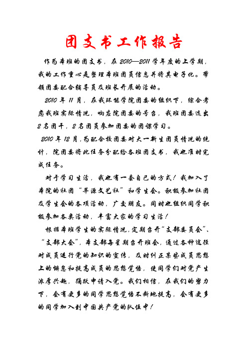 团支书工作报告