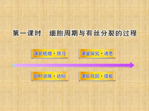 高中生物第五章细胞增殖分化衰老和凋亡5.1.1细胞周期与有丝分裂的过程名师课件苏教版必修