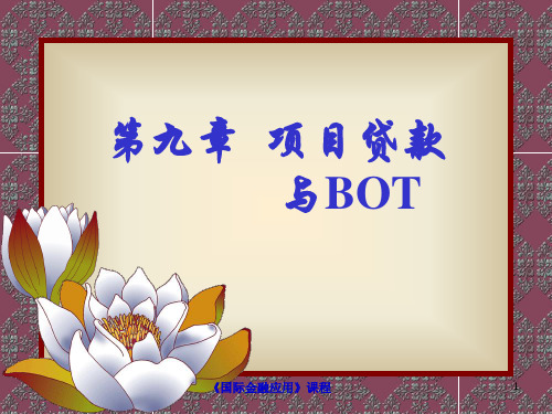 项目贷款.pptx