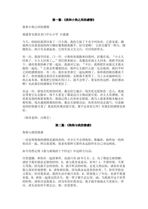 狗和人的感情作文