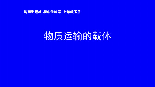 济南版七年级生物下册第三章人体内的物质运输第一节物质运输的载体血液公开课教学课件共28张PPT