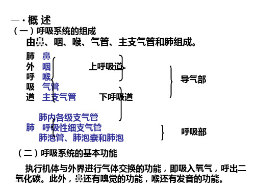 呼吸 动物生理学 高中生物竞赛集训课件