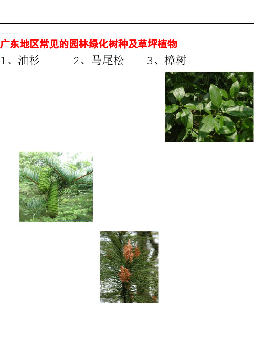 整理广东地区常见的园林植物74种
