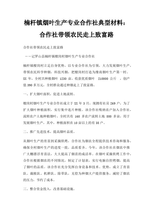 楠杆镇烟叶生产专业合作社典型材料合作社带领农民走上致富路