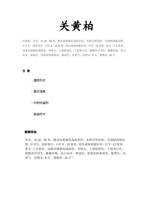 中药关黄柏介绍