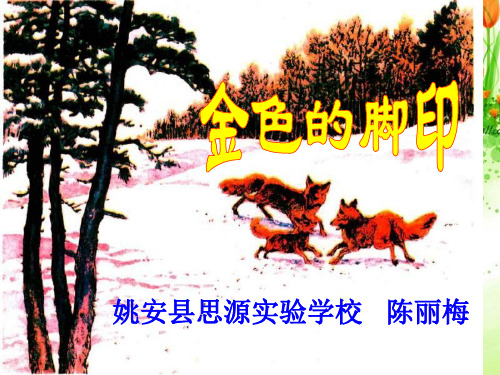 《金色的脚印》课件