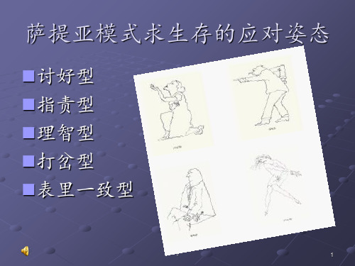 萨提亚五种生存姿态ppt课件